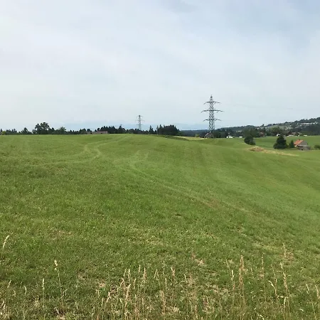 Апартаменты Haus Stegmeir Hohenweiler